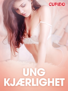 Ung kjærlighet - erotiske noveller (ebok) av