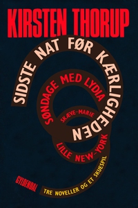 Sidste nat før kærligheden (e-bog) af
