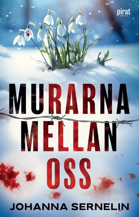 Murarna mellan oss (e-bok) av Johanna Sernelin