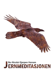 Jernmeditasjonen (ebok) av Bo-Nicolai Gjerpen