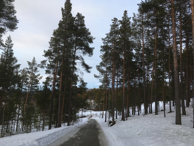 diktet om hummelfjell gubben (ebok) av Helge