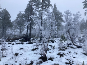 når jula kom til Narbuvoll - julenovelle nummer 5 (ebok) av helge  Midtdal