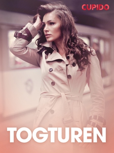 Togturen - erotiske noveller (ebok) av Cupido