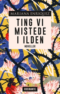 Ting vi mistede i ilden (e-bog) af Ma