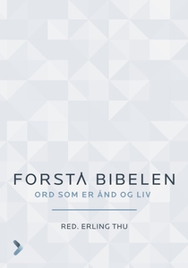 Forstå Bibelen (ebok) av Erling Thu