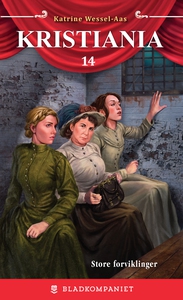 Store forviklinger (ebok) av Katrine Wessel-A