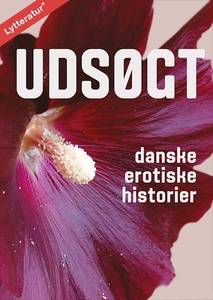 Udsøgt (lydbog) af Andrea Hansen, Rei