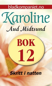 Skritt i natten (ebok) av Aud Midtsund