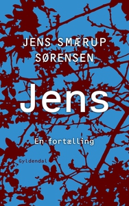 Jens (e-bog) af Jens Smærup Sørensen