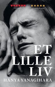Et lille liv (e-bog) af Hanya Yanagih