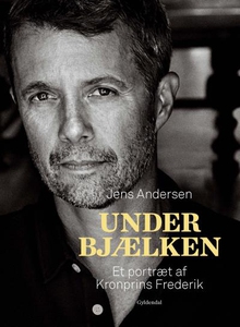 Under bjælken (lydbog) af Jens Anders