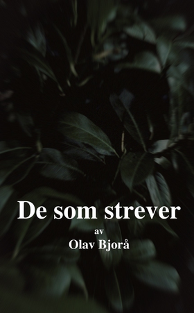 De som strever (ebok) av Olav Bjorå
