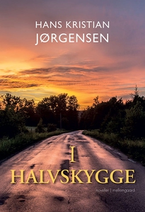 I halvskygge (e-bog) af Hans Kristian