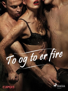 To og to er fire (ebok) av Cupido noveller