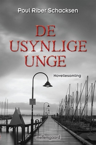 De usynlige unge (e-bog) af Poul Ribe