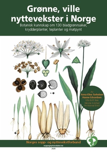 Grønne, ville nyttevekster i Norge (ebok) av