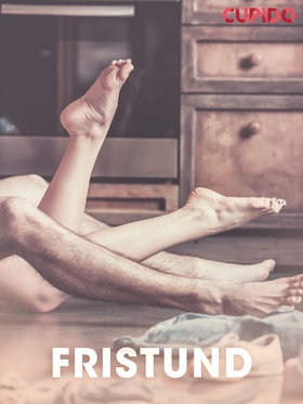 Fristund – erotiske noveller (ebok) av Cupido