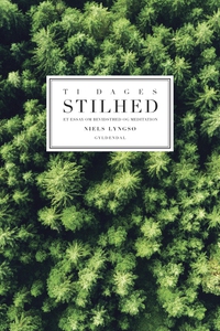 Ti dages stilhed (e-bog) af Niels Lyn