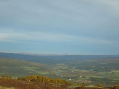 Sottohaug kaillen og Hogna gubben (ebok) av H