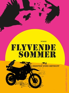 Flyvende sommer (e-bog) af Karsten Wi