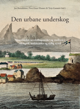 Den urbane underskog - Strandsteder, utvekslingssteder og småbyer i vikingtid, middelalder og tidlig nytid (ebok) av Chris Callow