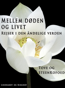 Mellem døden og livet (e-bog) af Stee