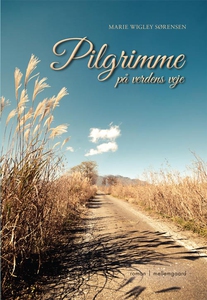 Pilgrimme på verdens veje (e-bog) af