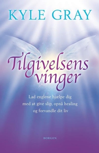 Tilgivelsens vinger (lydbog) af Kyle