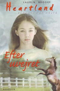 Efter uvejret (lydbog) af Lauren Broo