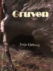 Gruven (ebok) av Terje Eldborg
