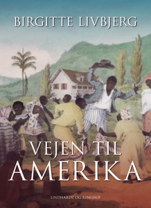 Vejen til Amerika (e-bog) af Birgitte