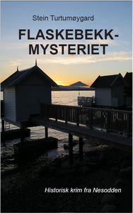 Flaskebekkmysteriet (ebok) av Stein Turtumøyg