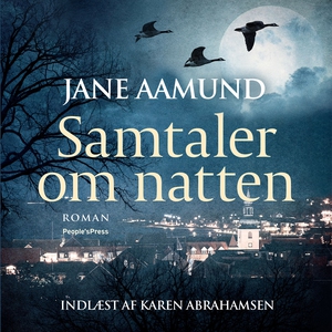 Samtaler om natten (lydbog) af Jane A