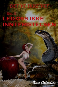 Led oss ikke inn i fristelsen (ebok) av Rune