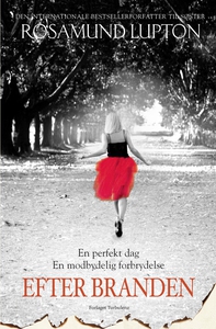 Efter branden (e-bog) af Rosamund Lup