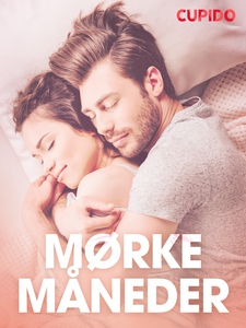 Mørke måneder - erotiske noveller (ebok) av C