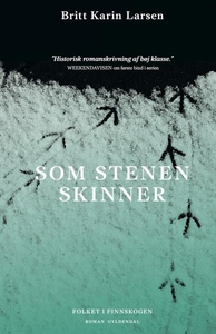 Som stenen skinner (lydbog) af Britt