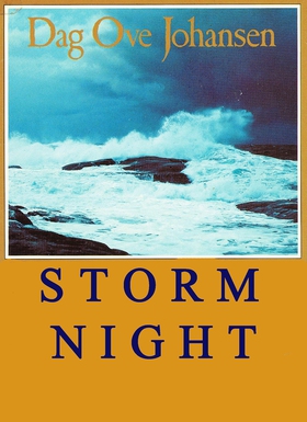 STORM NIGHT - English version of a Norwegian novel from 1988 about a person who was manipulated and brainwashed in order to become Jesus (ebok) av Dag Ove Johansen