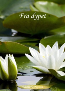 Fra dypet (ebok) av Rannov Nilsen