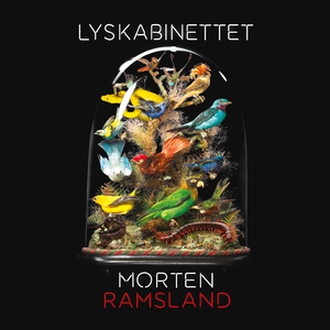Lyskabinettet (lydbog) af Morten Rams