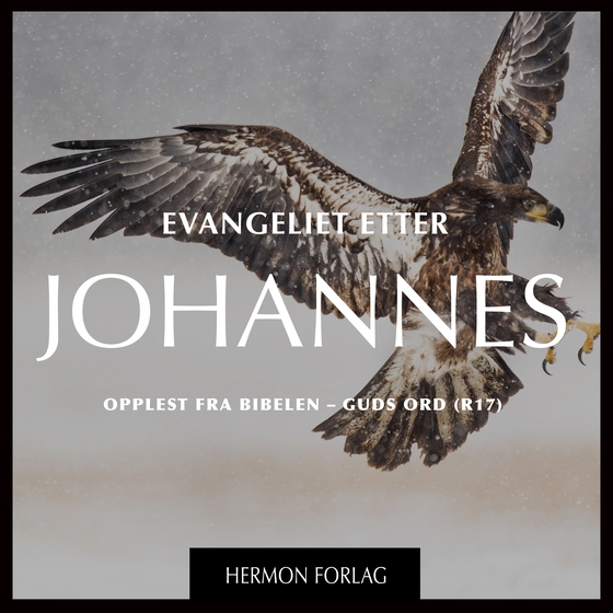 Evangeliet etter Johannes - DET NYE TESTAMENTET