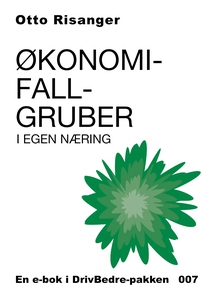 Økonomifallgruber i eget næring (ebok) av Ott