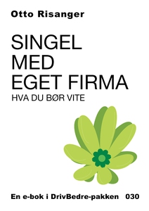 Singel med eget firma (ebok) av Otto Risanger