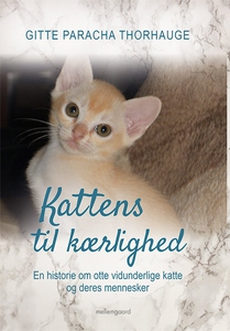 Kattens til kærlighed (e-bog) af Gitt
