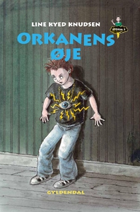 Storm 3 - Orkanens øje (e-bog) af Lin