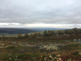 Birger fra skredala - Møte med svunne tider fra Hummelfjellet (ebok) av Helge Midtdal