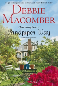 Hemmeligheter i Sandpiper Way (ebok) av Debbi