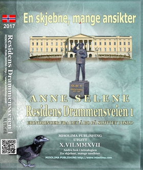Residens Drammensveien 1 (ebok) av Anne Selene