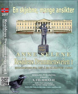 Residens Drammensveien 1 (ebok) av Anne Selen