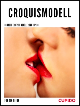 Croquismodell – og andre erotiske noveller fra Cupido (ebok) av Cupido and others -